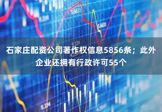 石家庄配资公司著作权信息5856条；此外企业还拥有行政许可55个