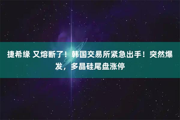 捷希缘 又熔断了！韩国交易所紧急出手！突然爆发，多晶硅尾盘涨停