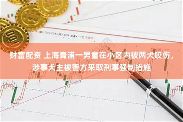 财富配资 上海青浦一男童在小区内被两犬咬伤，涉事犬主被警方采取刑事强制措施